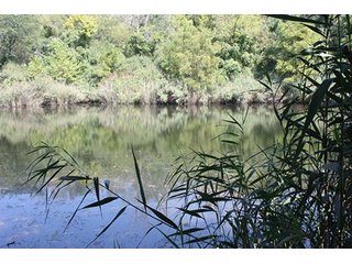 Property photo 48 - 419 +/- Acres offered in 6 Tracts, Land Auction